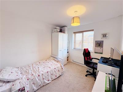 Picture 14